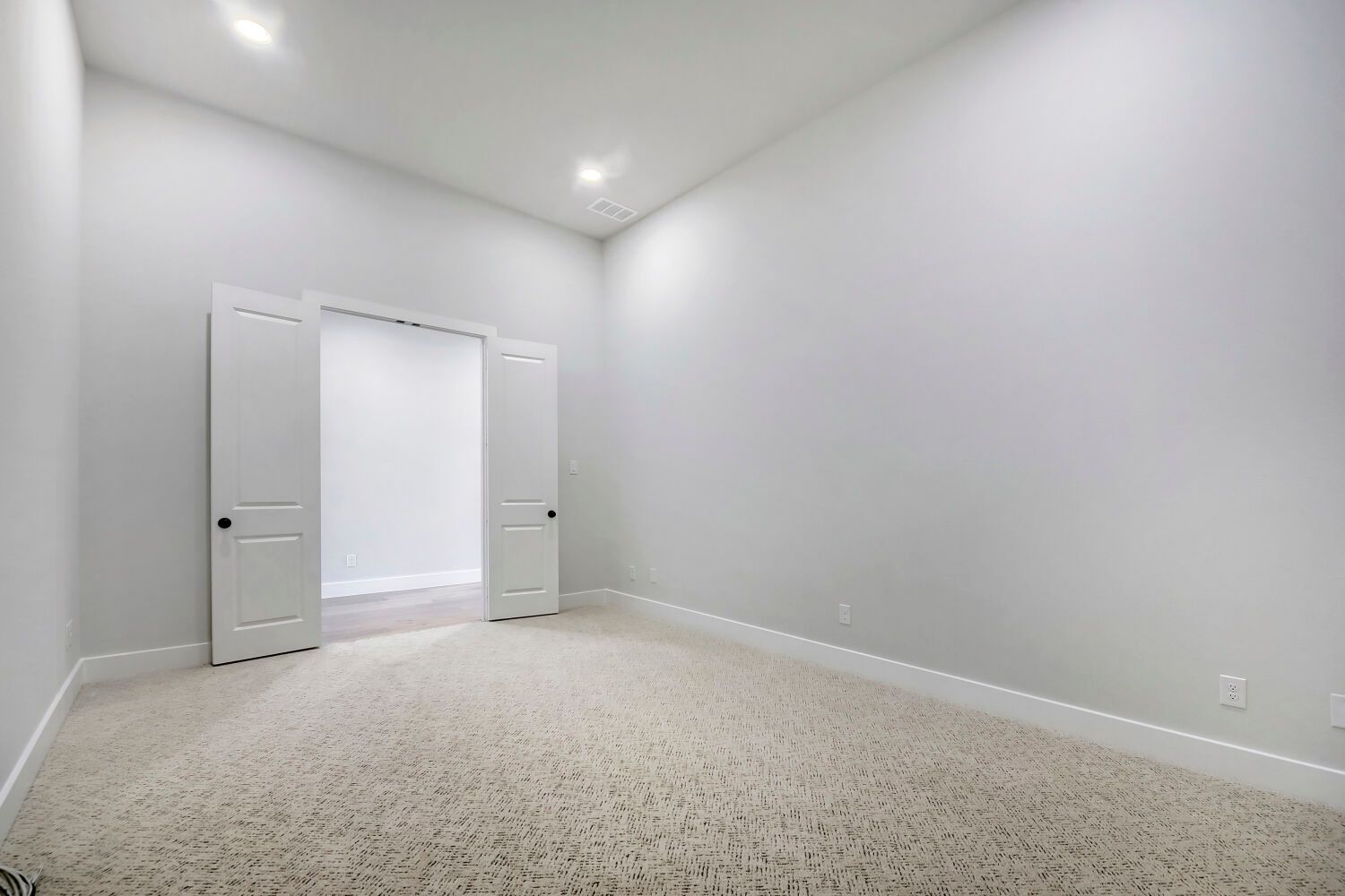 799 Mandrake - Media Room