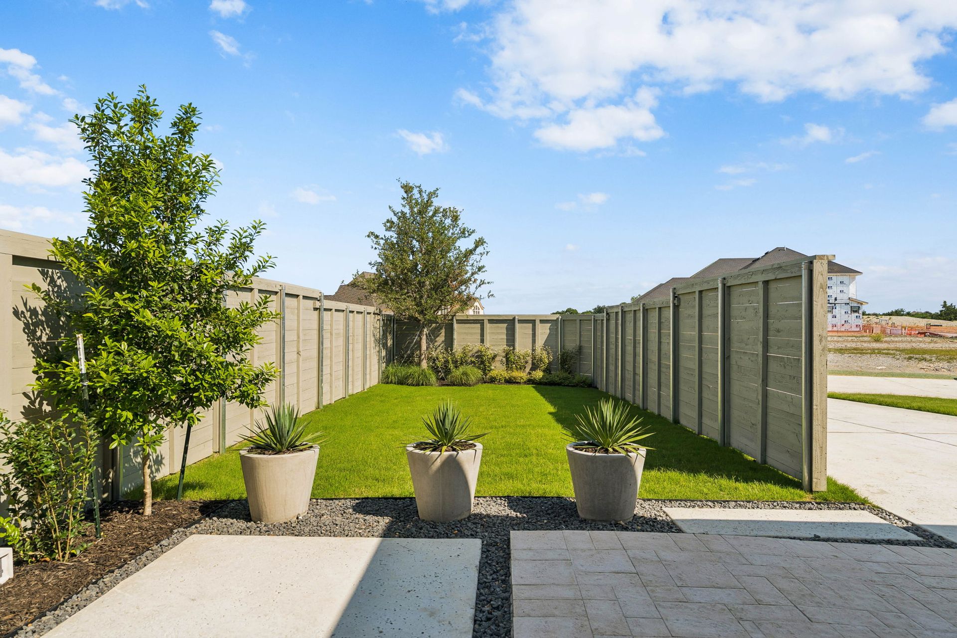 Low-Maintenance Backyard with Modern Landscaping