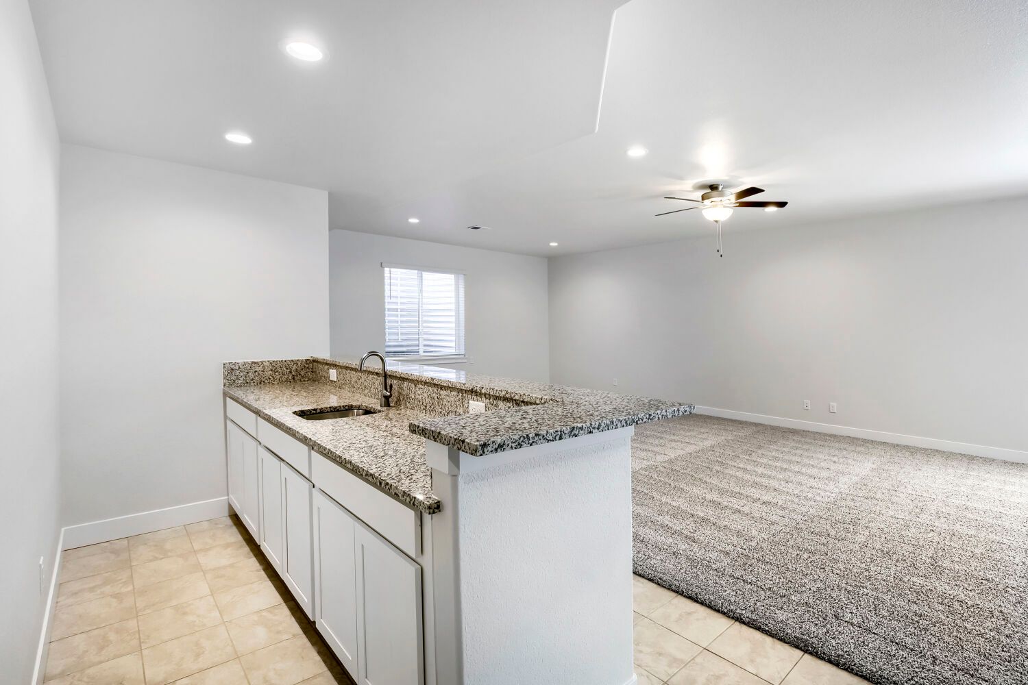 2071 Dusk Court - Rec Room