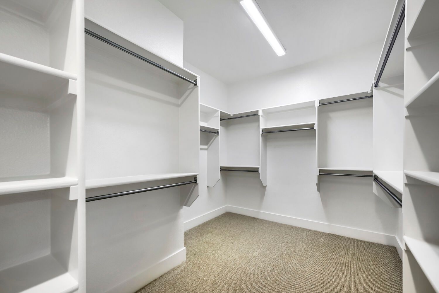 800 Blackberry - Primary Closet
