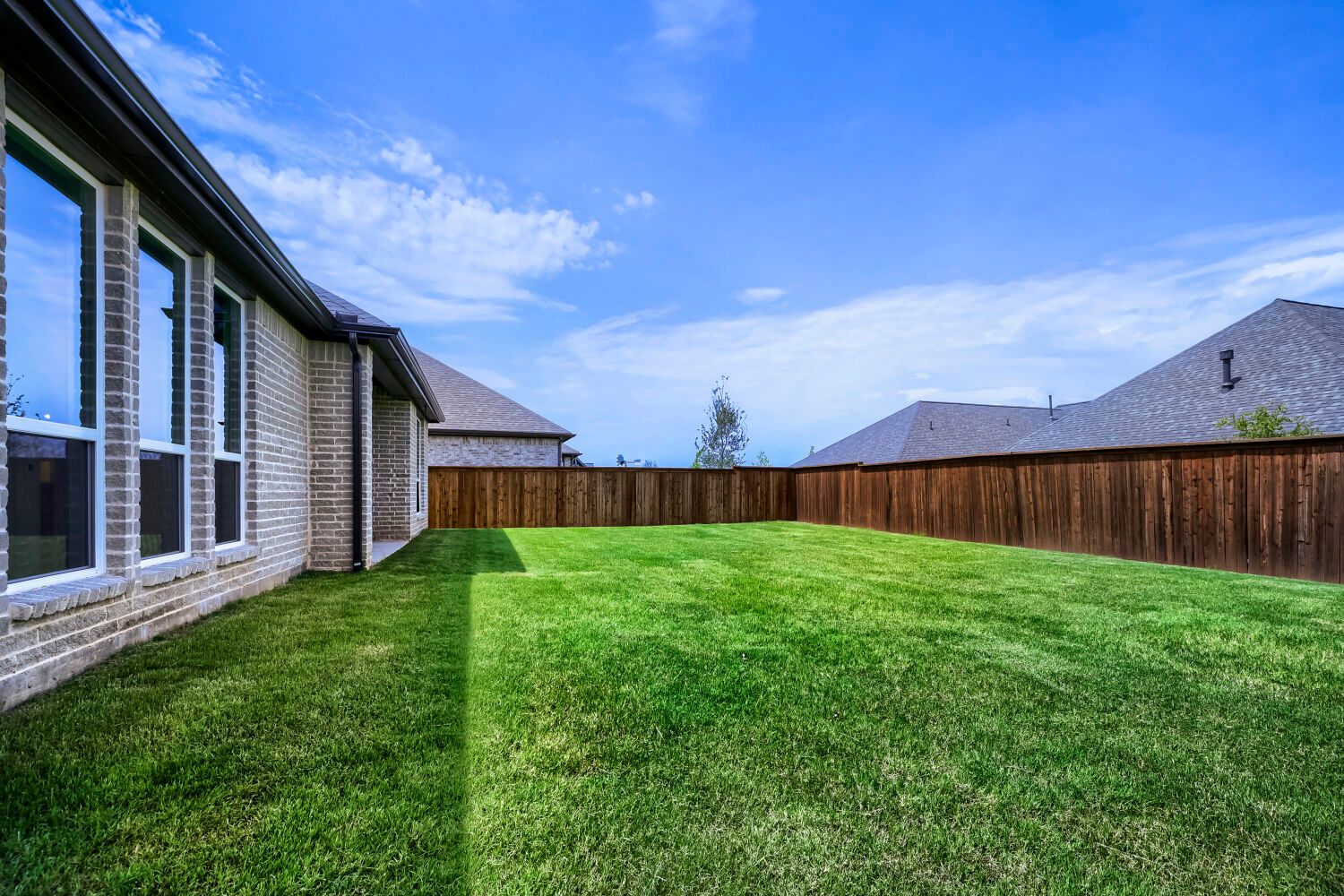 3320 Maidenhair - Backyard