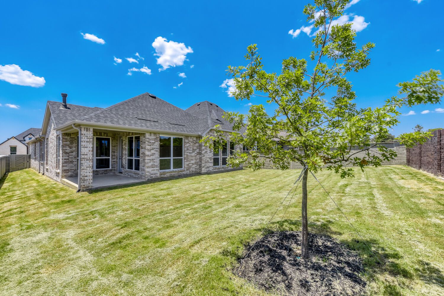 9817 Oak Glade - Backyard