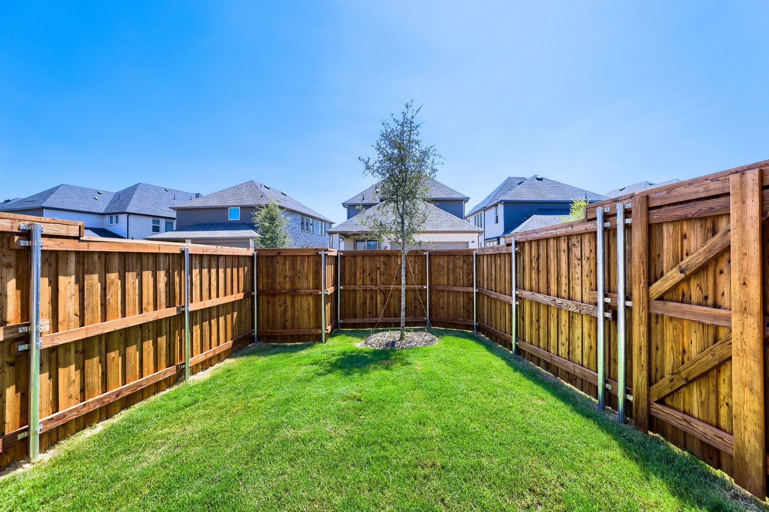 4420 Daisy - Backyard