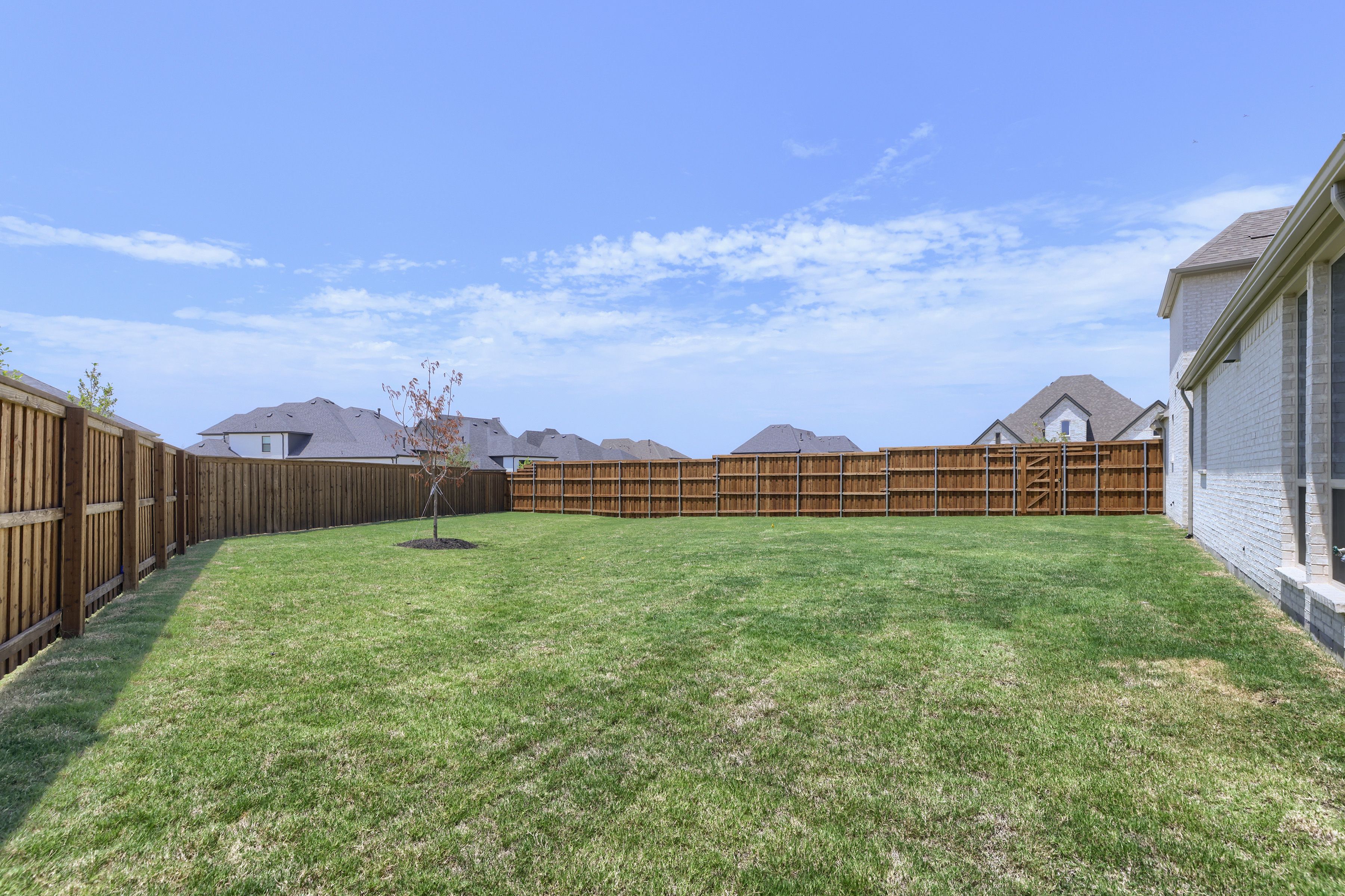 4124 Trellis - Backyard