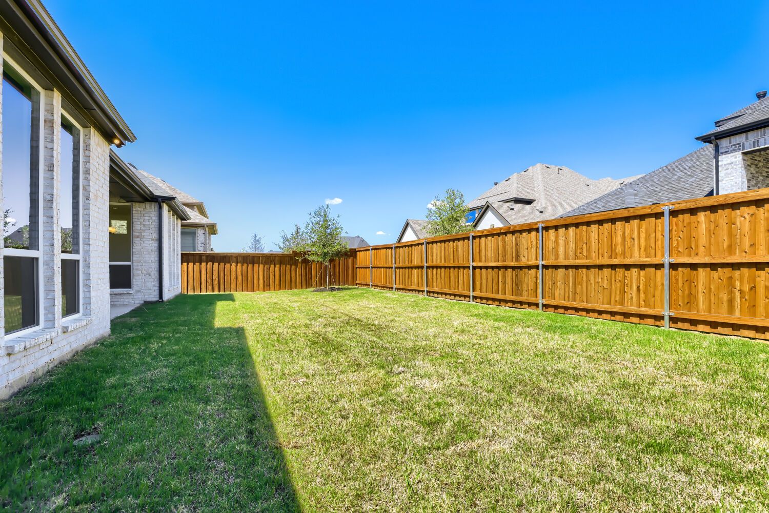 4025 Trellis - Backyard