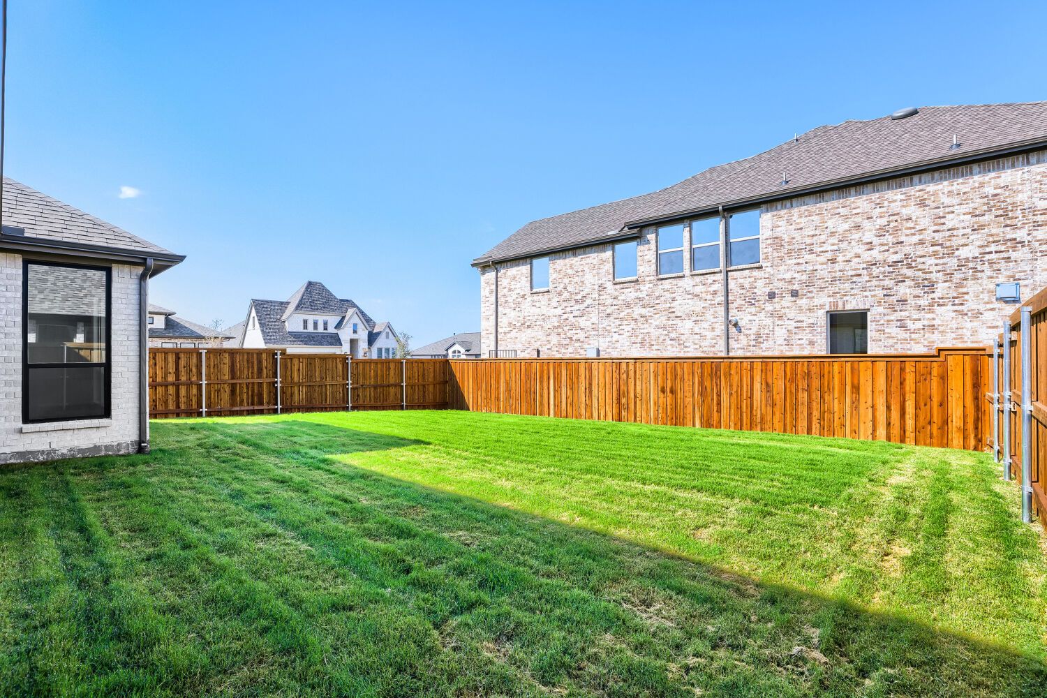 100 Enclave - Backyard