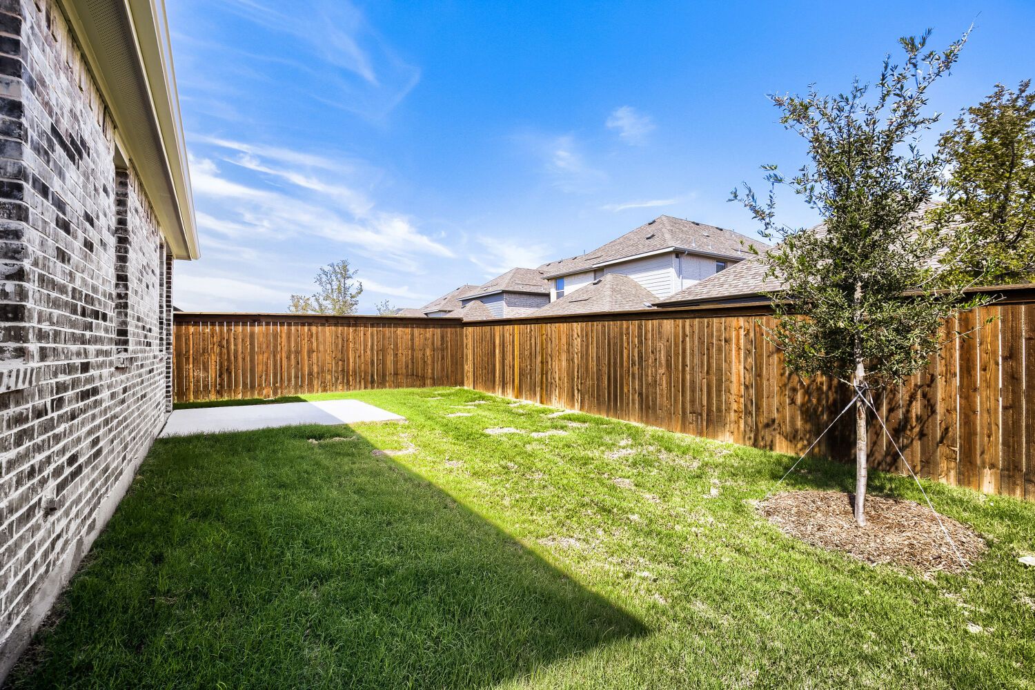 811 Stone Grove - Backyard
