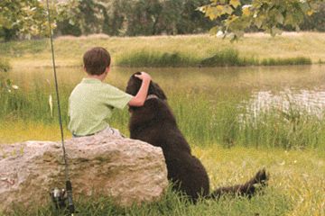 Wildridge Fishing from American Legend Homes