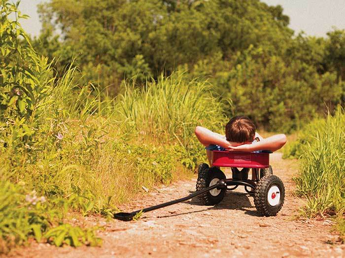 Wildridge Red Wagon from American Legend Homes