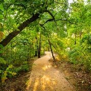 Wildridge Natural Trails from American Legend Homes