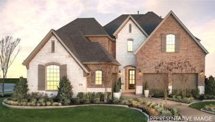 Plan 609 - The Grove Frisco - 65s: Frisco, Texas - American Legend Homes