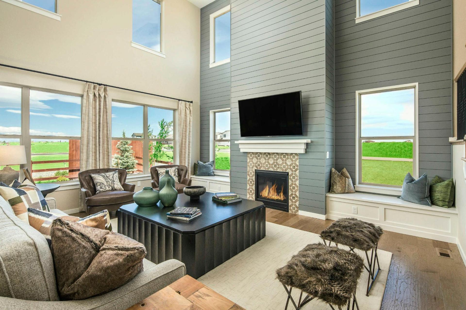 Plan C407 Living Room Representative Image