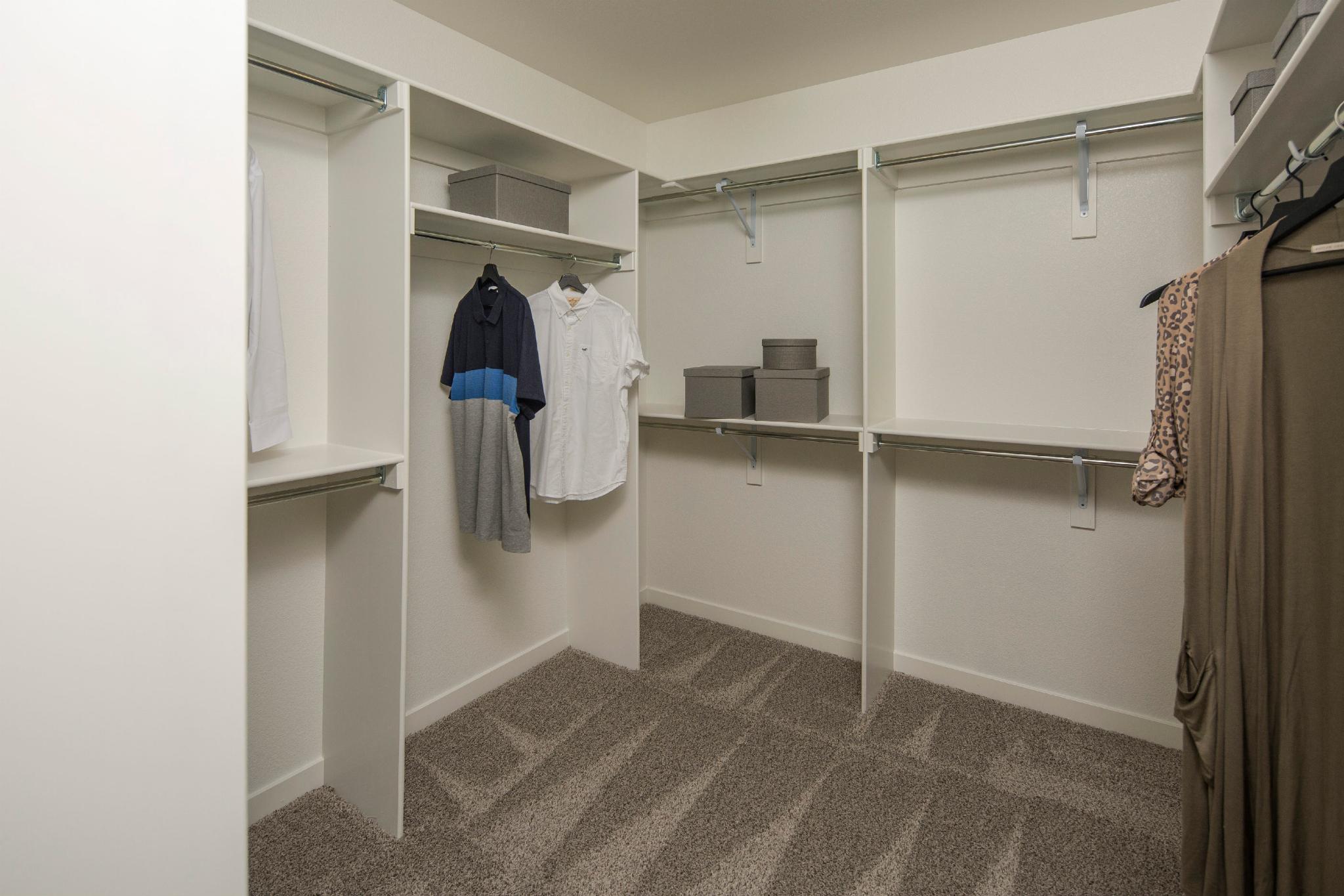 Plan C407 Primary Closet Representative Image