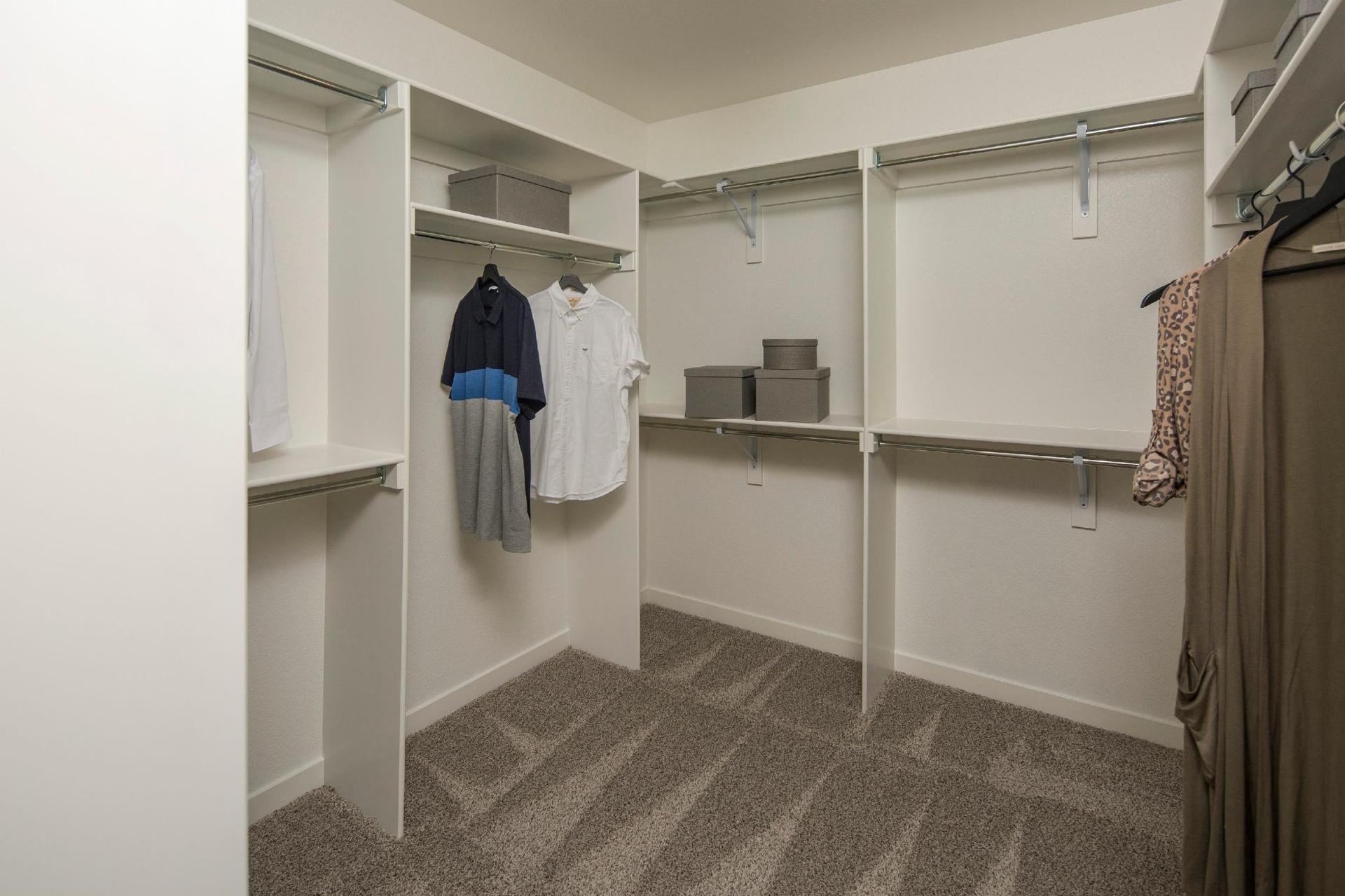 Plan C407 Primary Closet Representative Image
