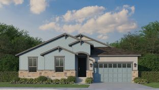 Plan C502 - RainDance National 60/70: Windsor, Colorado - American Legend Homes