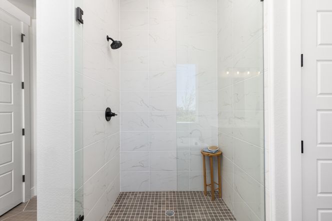 RainDance Festival 60s Model Main Bathroom