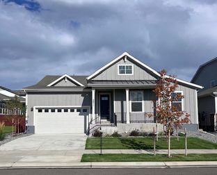 Plan C502 - RainDance - 60s: Windsor, Colorado - American Legend Homes