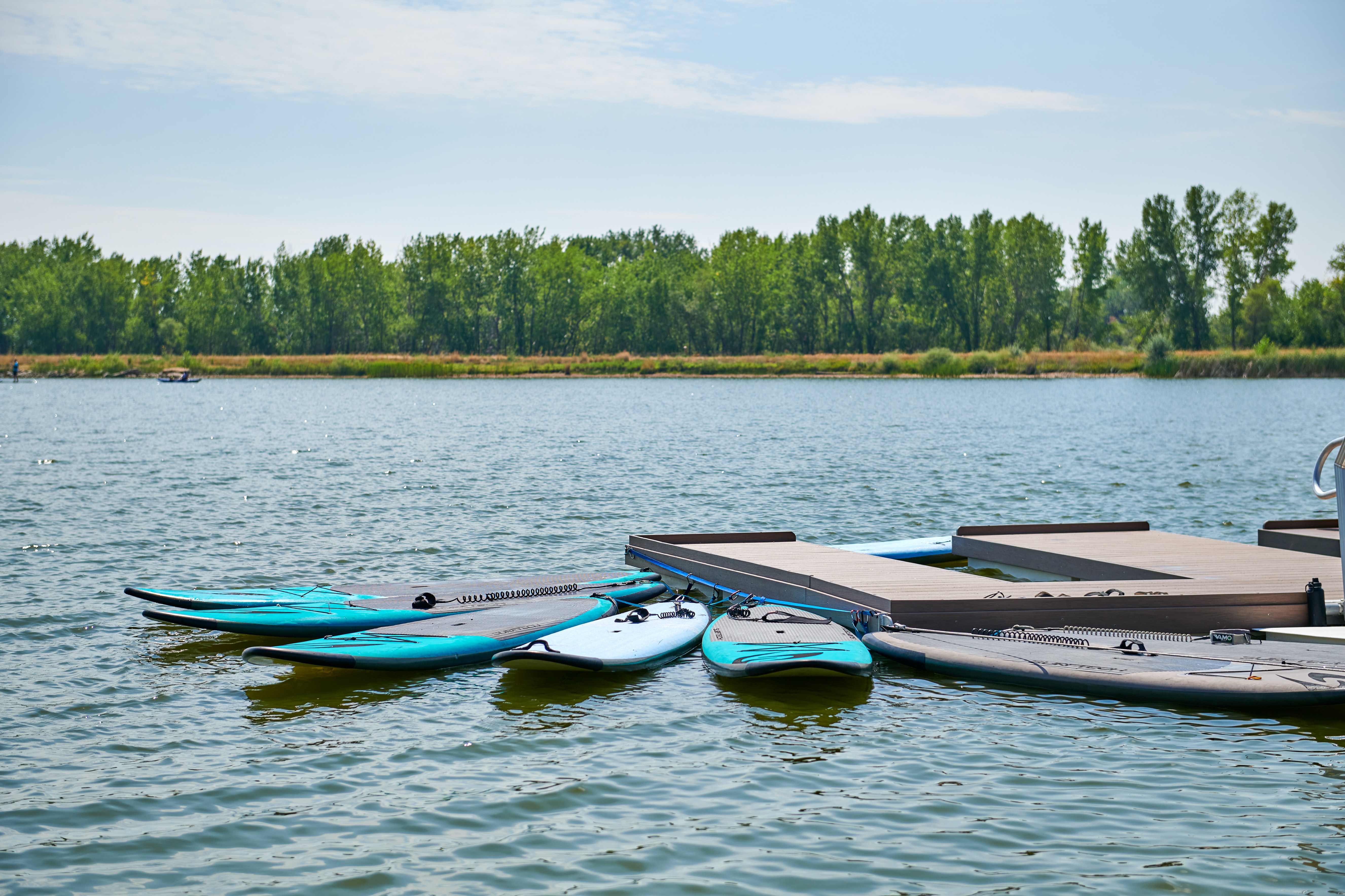 Barefoot Lakes paddle boards on lake