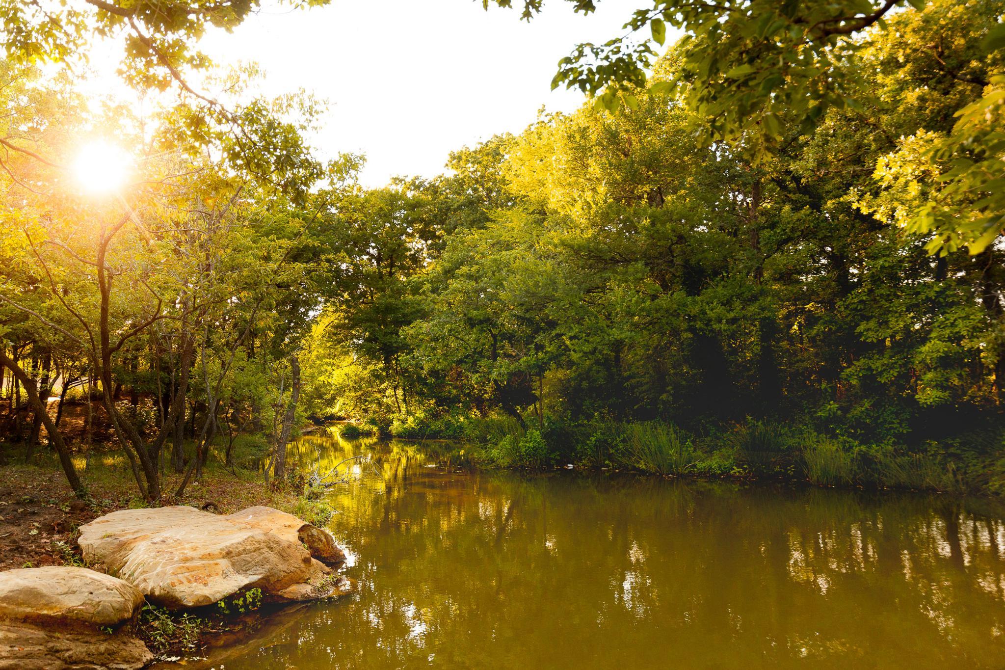 Wildridge Fishing Haven