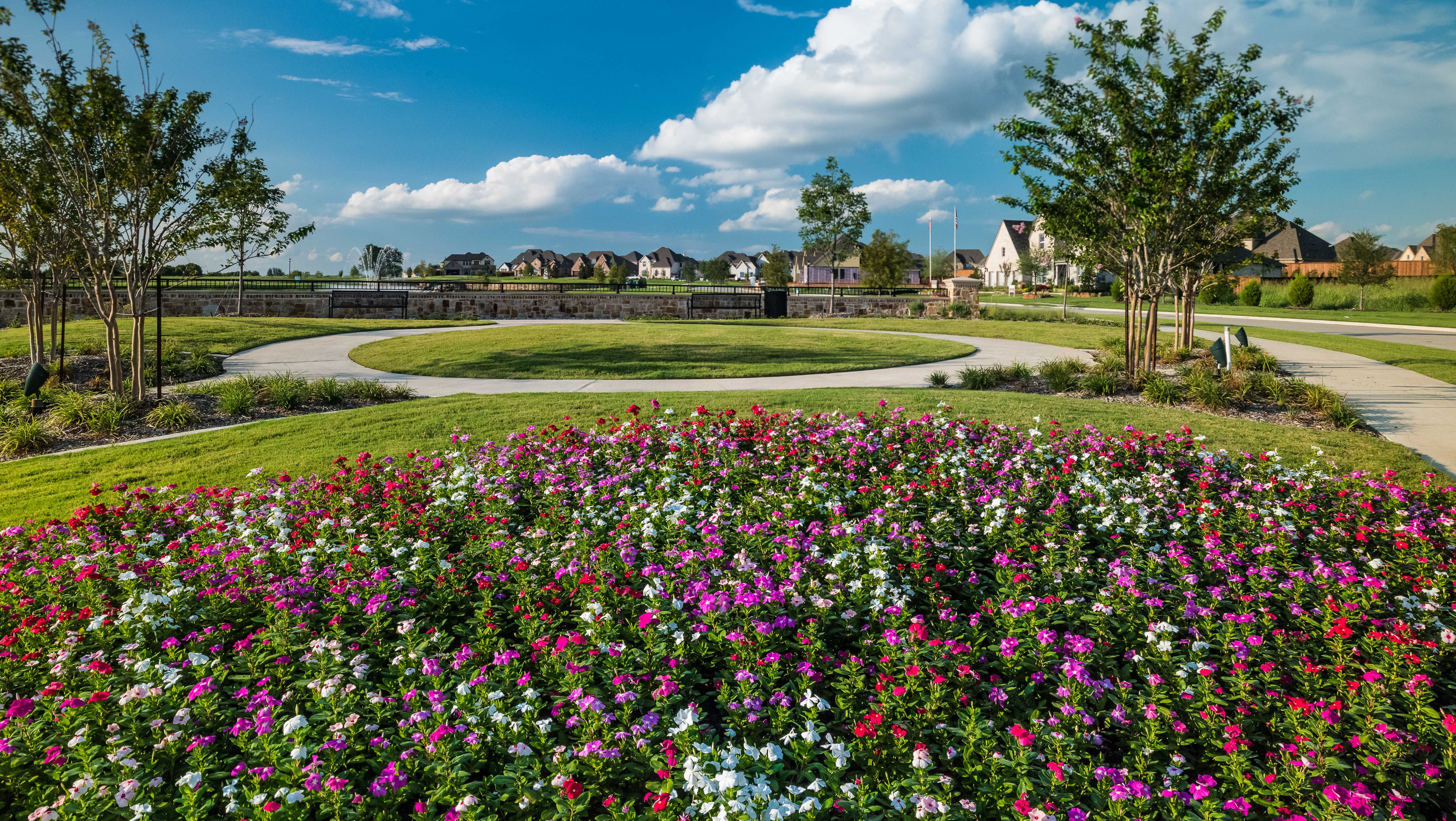 Mustang Lakes - walking trails