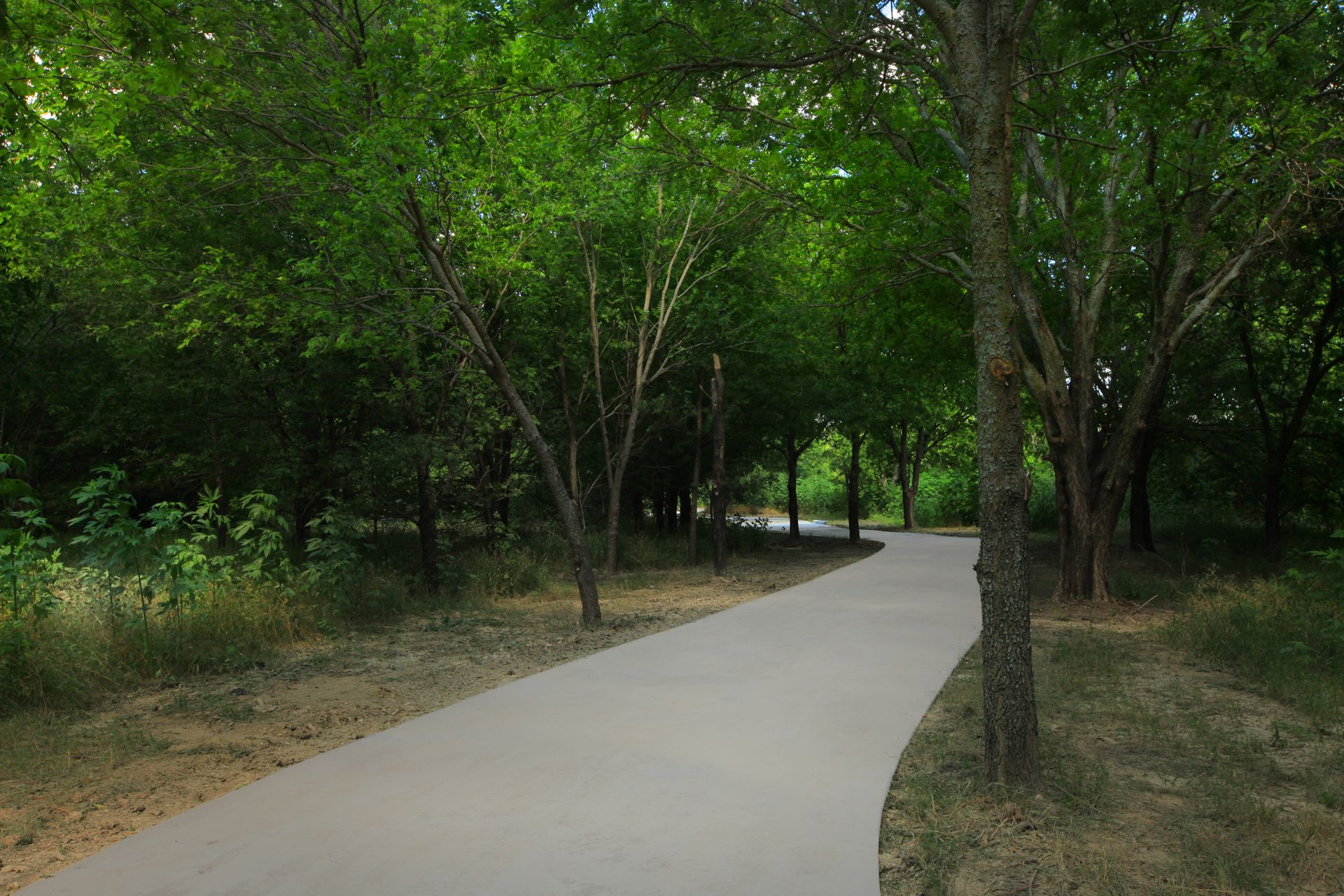Treeline walking trails