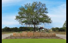 Treeline: Justin, Texas - American Legend Homes