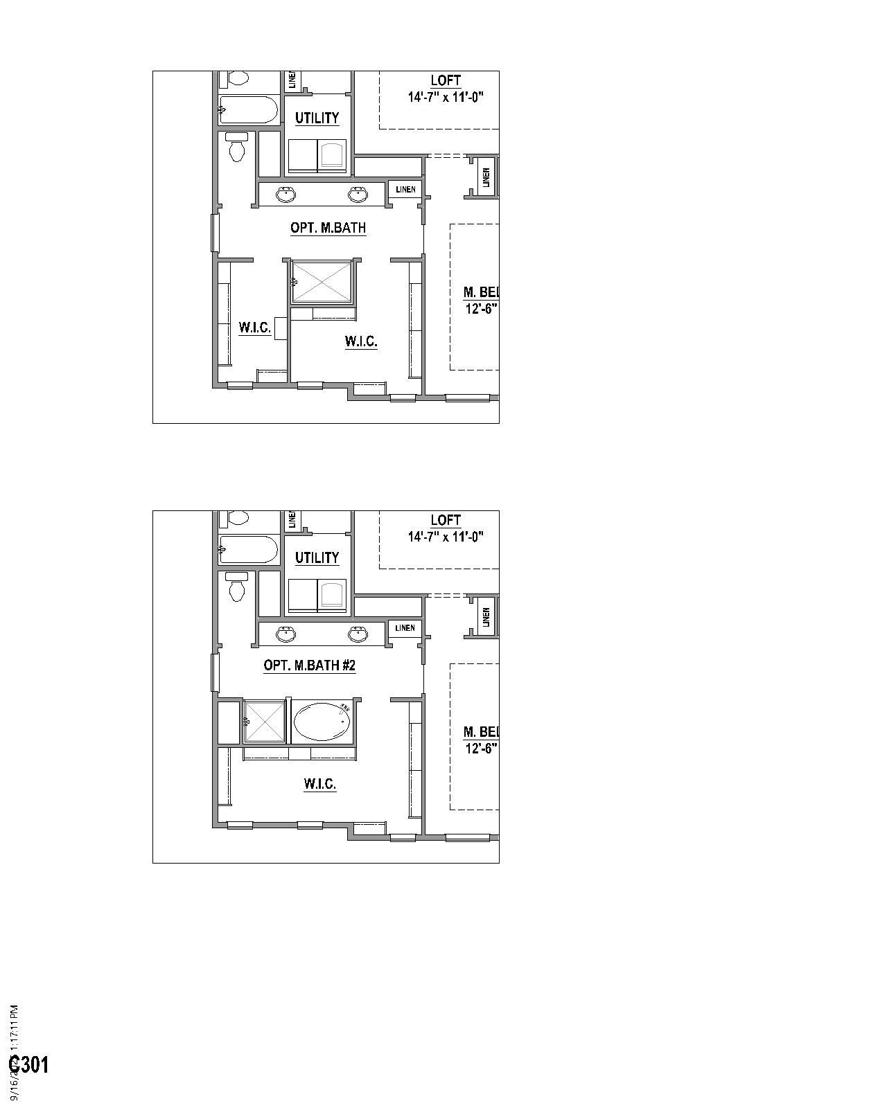 Plan C301 Options 2
