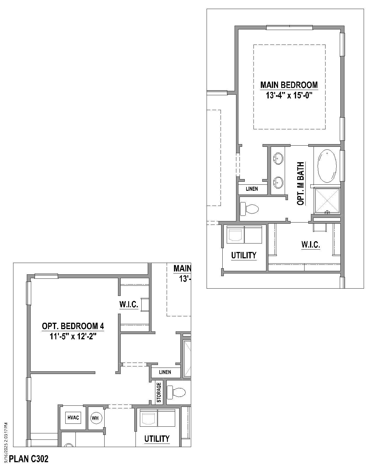Plan C302 Options 2