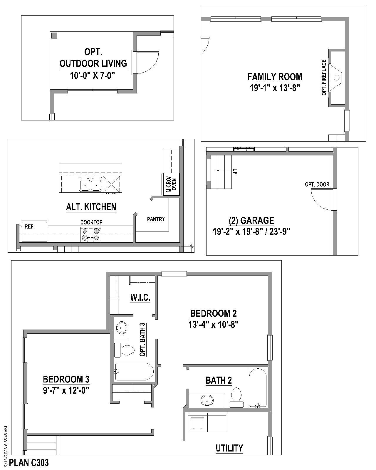 Plan C303 Options 1