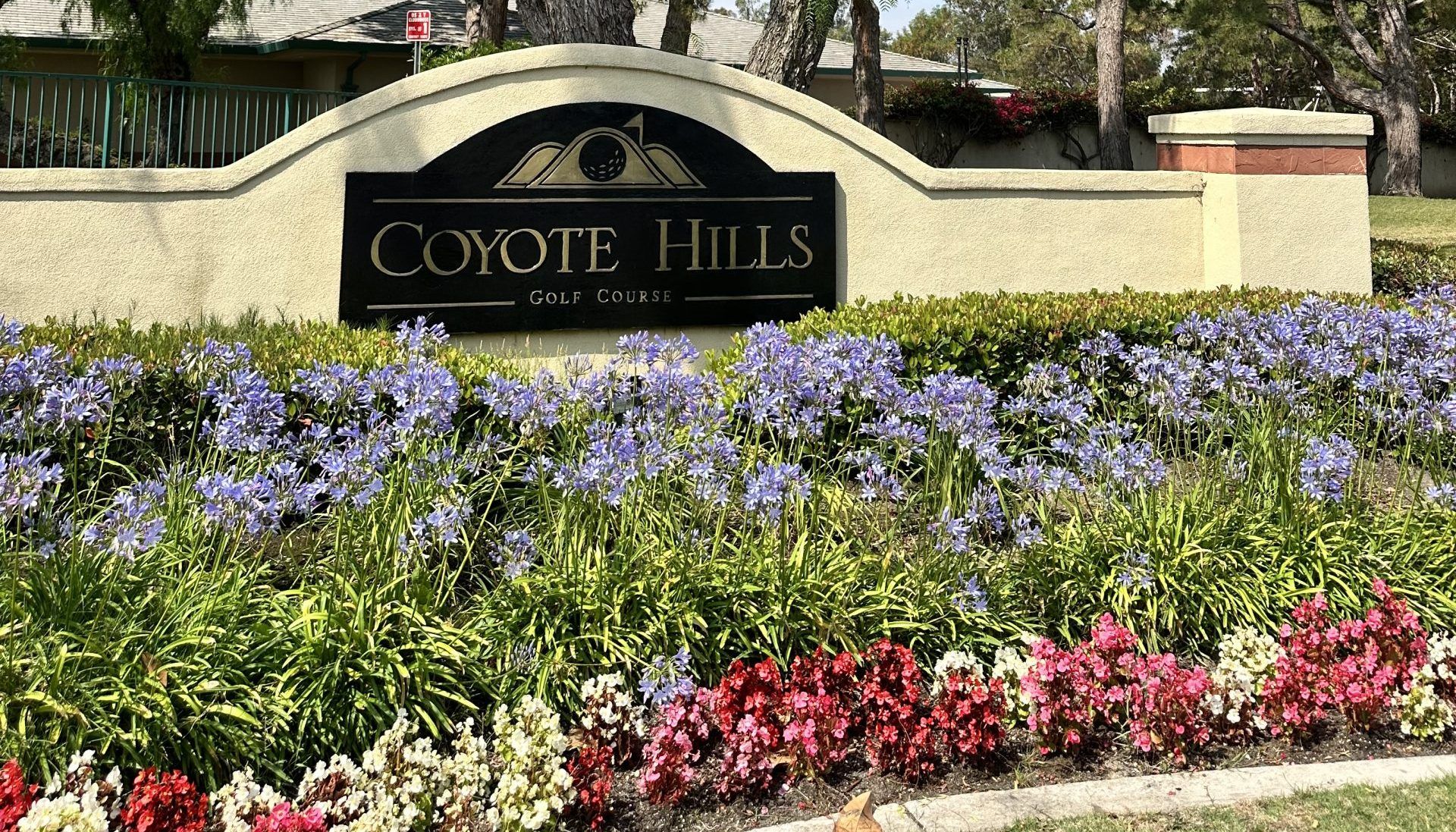 Local Area Amenity