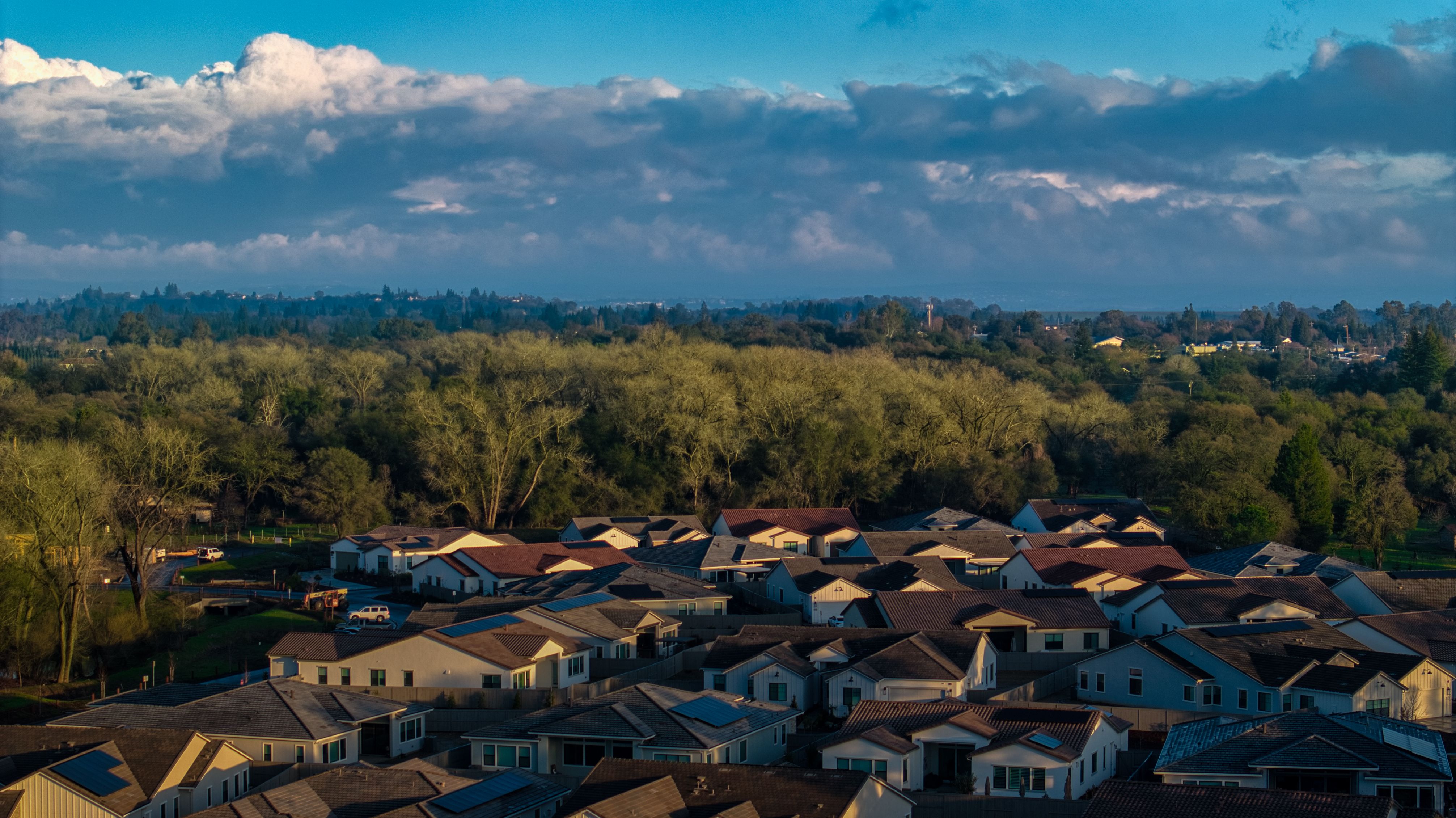 Construction Update January 2025