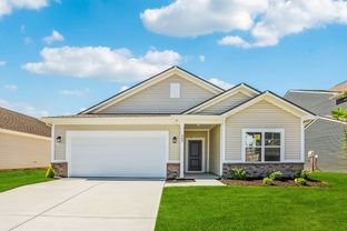 Chestnut - Maple Run: Sheridan, Indiana - Arbor Homes