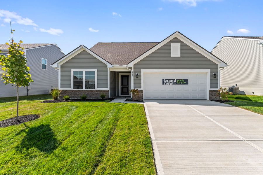 221 Scorsese Street (Chestnut)