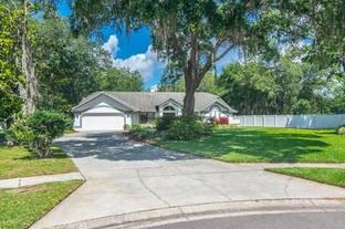 Keystone Meadows por Ariel Homes en Tampa-St. Petersburg Florida