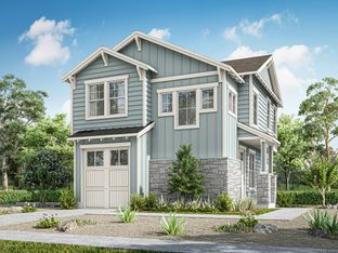The Windsor - Drew Lane: Austin, Texas - Ash Creek Homes Inc.