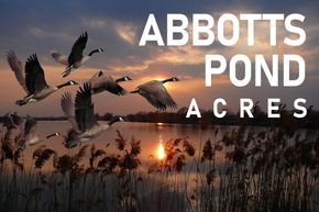 Abbotts Pond - Greenwood, DE