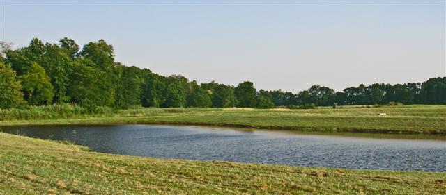 Pinehurst Village South of Dover Fishing Pond