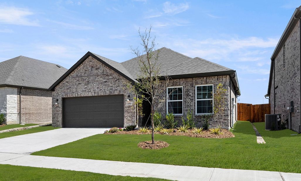 Exterior Design