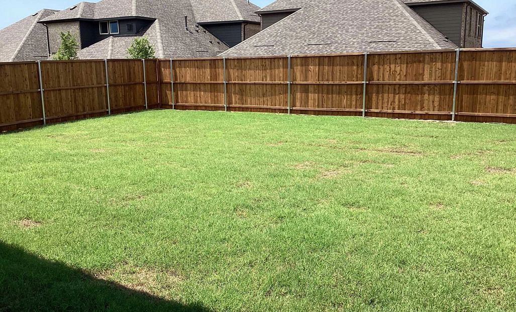 Backyard Construction Progress