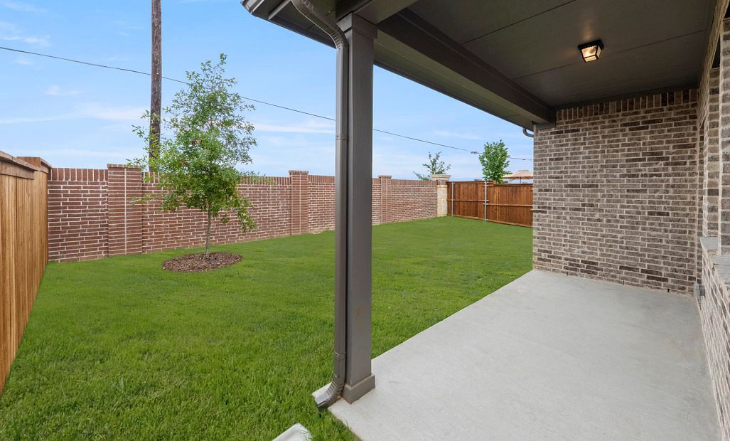 Covered Patio and Backyard