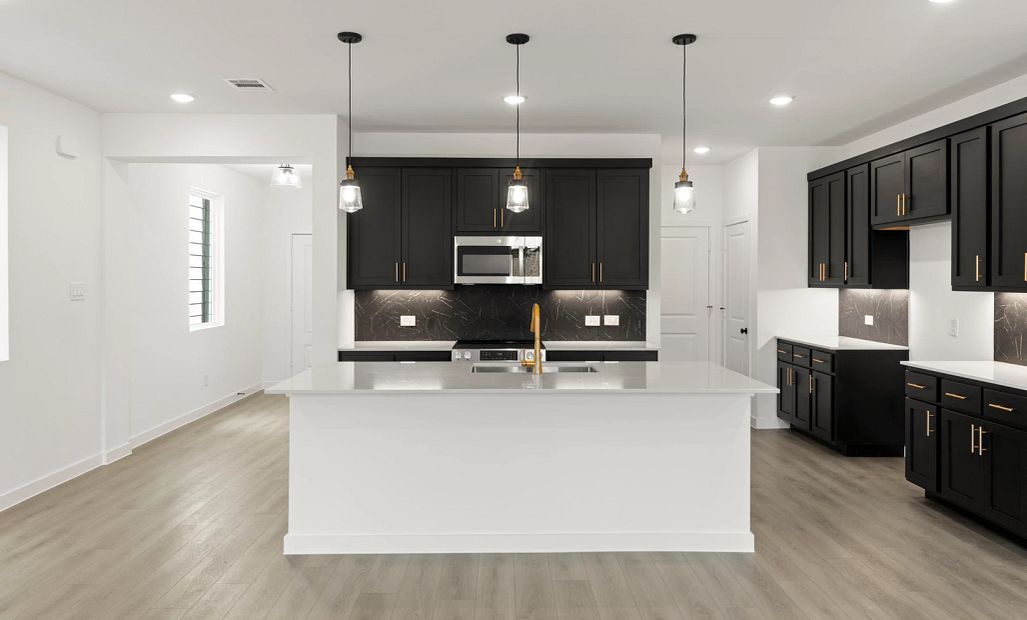 Kitchen Representative Photo featuring the Noir Collection