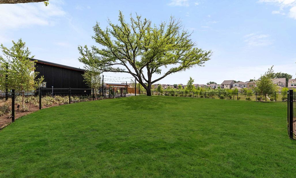 Sereno Oaks Courtyard