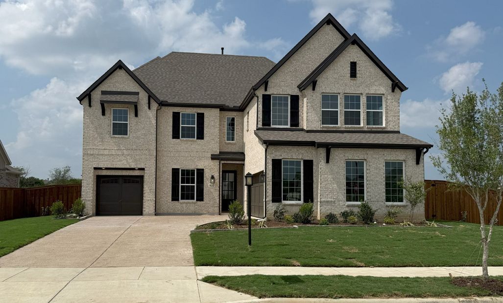 Exterior Design Construction Progress