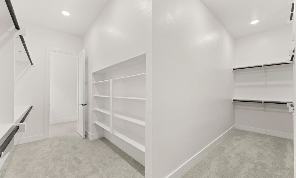 Primary Closet