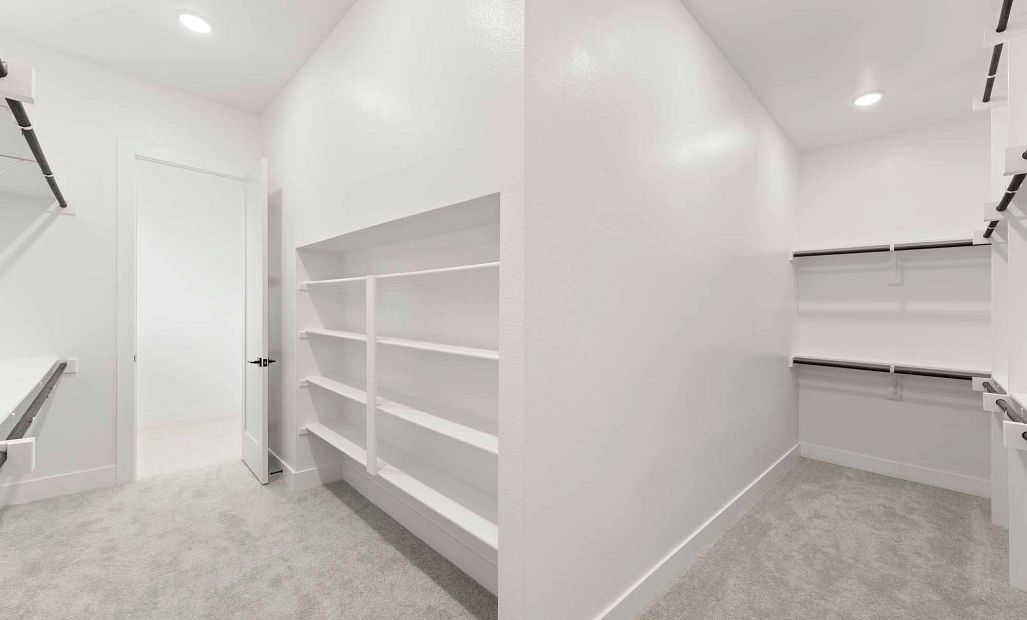 Primary Closet