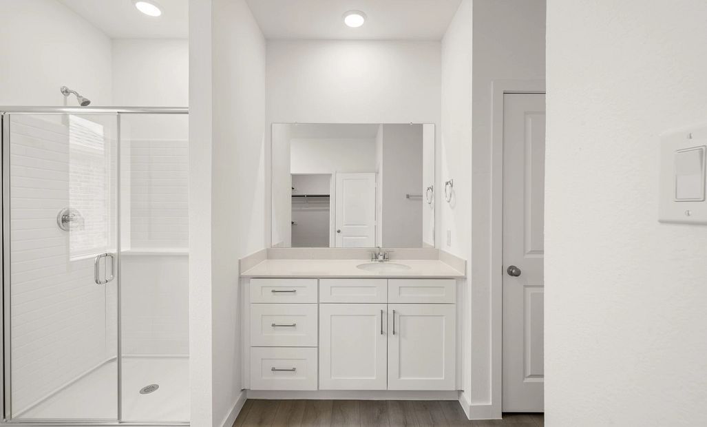 Primary Bathroom Representative Photo