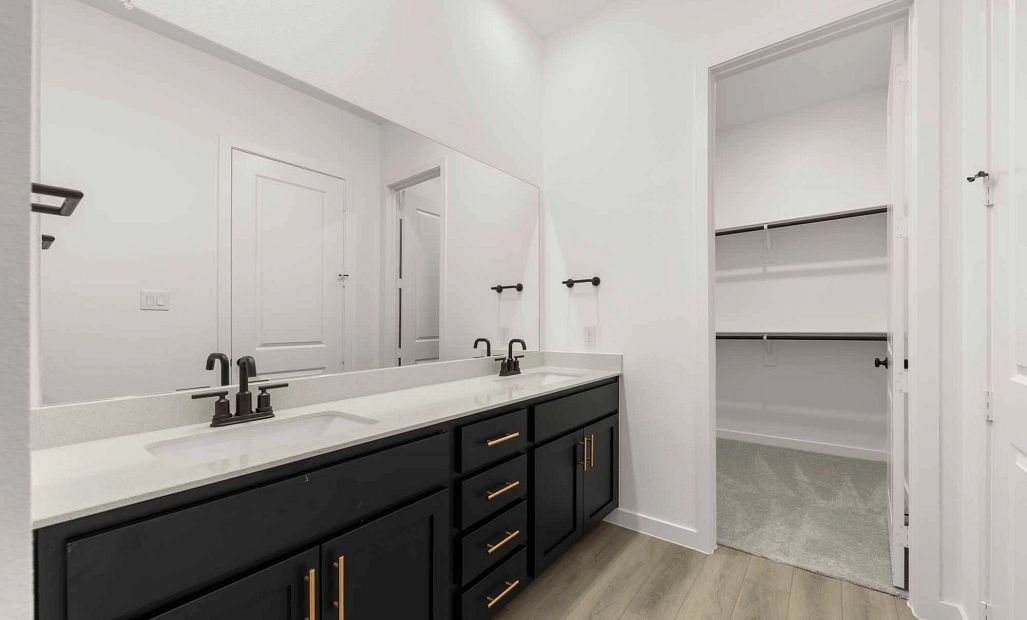Primary Bathroom featuring the Noir Collection