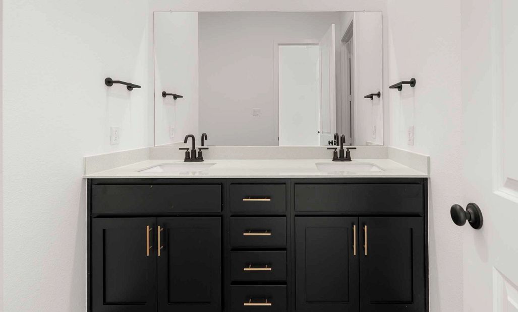 Primary Bathroom featuring the Noir Collection