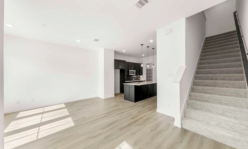 Open Kitchen-Living-Dining Room