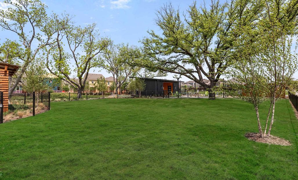 Sereno Oaks Dog Park